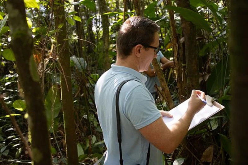 Levantamento de espécies florestais